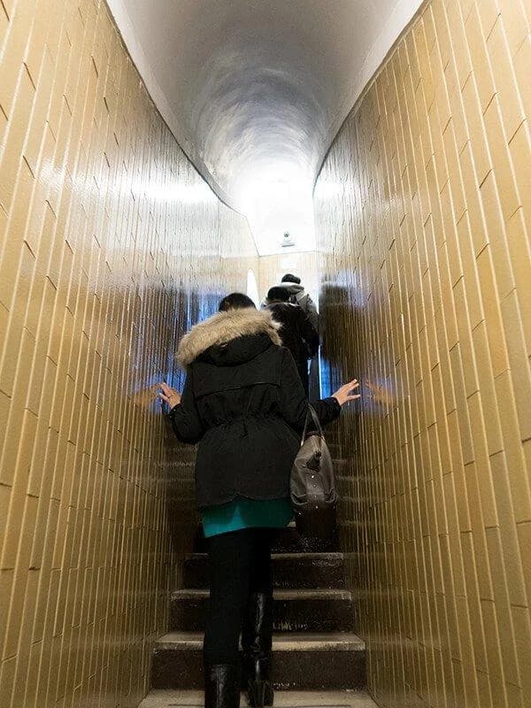 Ingresso e biglietti per Basilica di San Pietro e Cupola: Visita guidata
