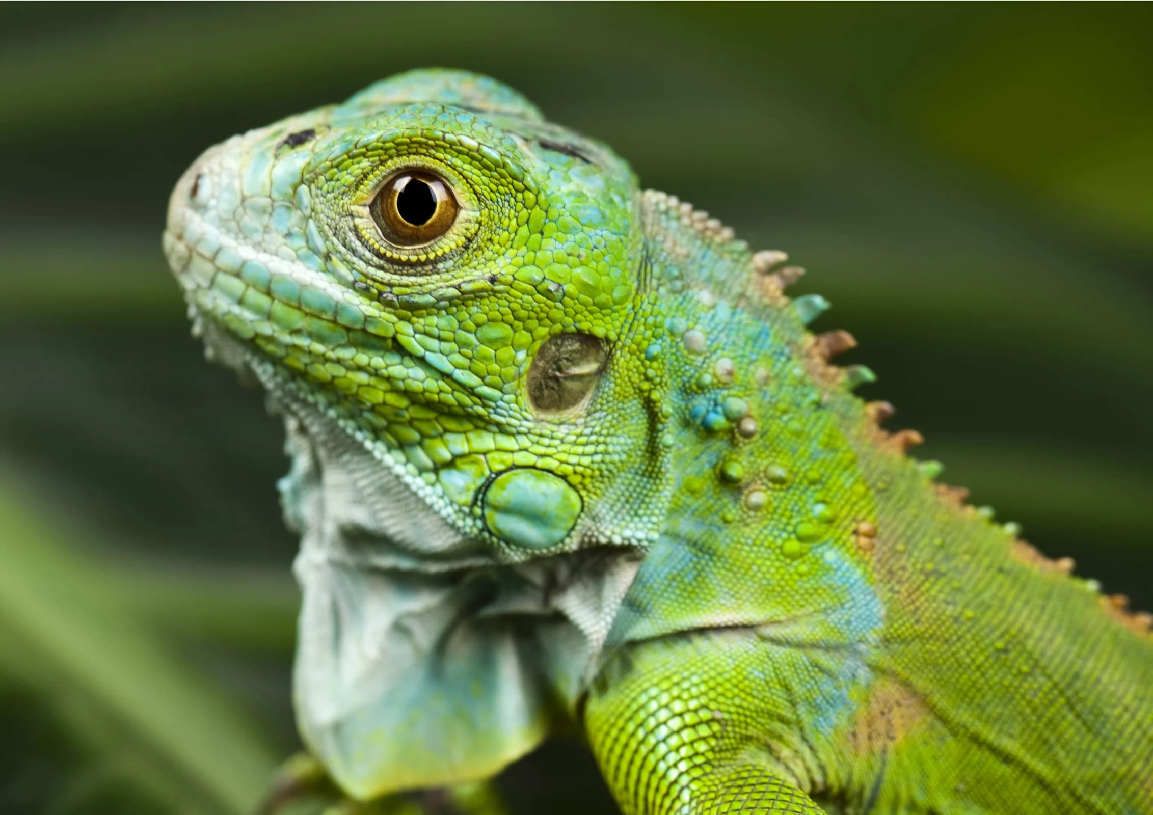 Ingresso e biglietti per ACQUARIO DI CATTOLICA