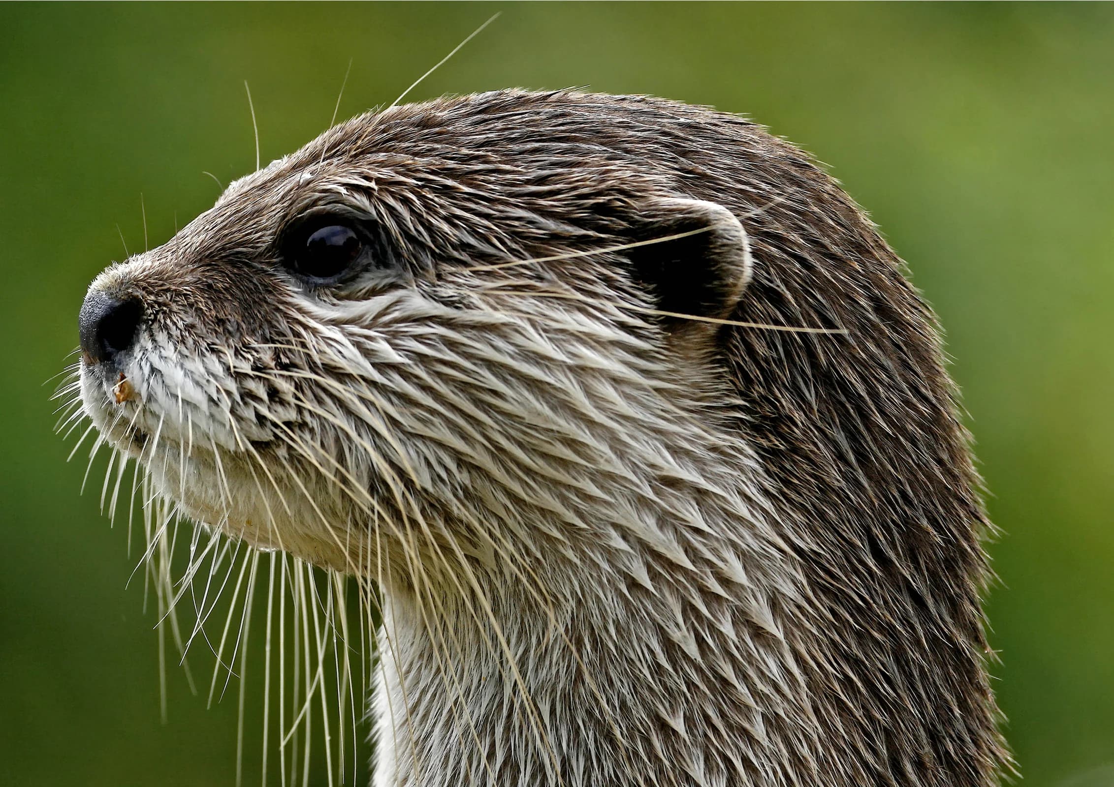Ingresso e biglietti per ACQUARIO DI CATTOLICA