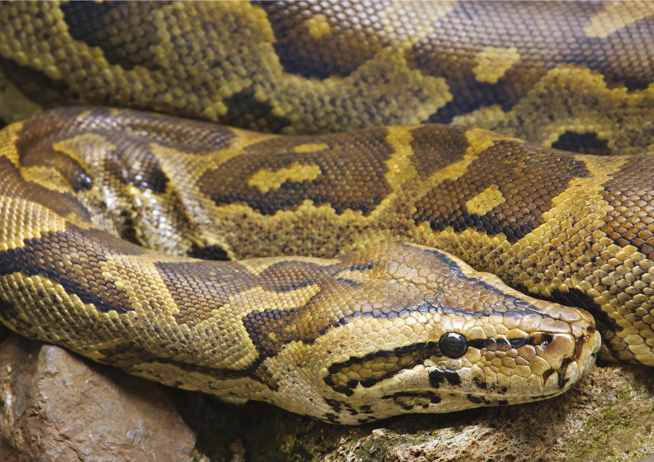 Ingresso e biglietti per ACQUARIO DI CATTOLICA