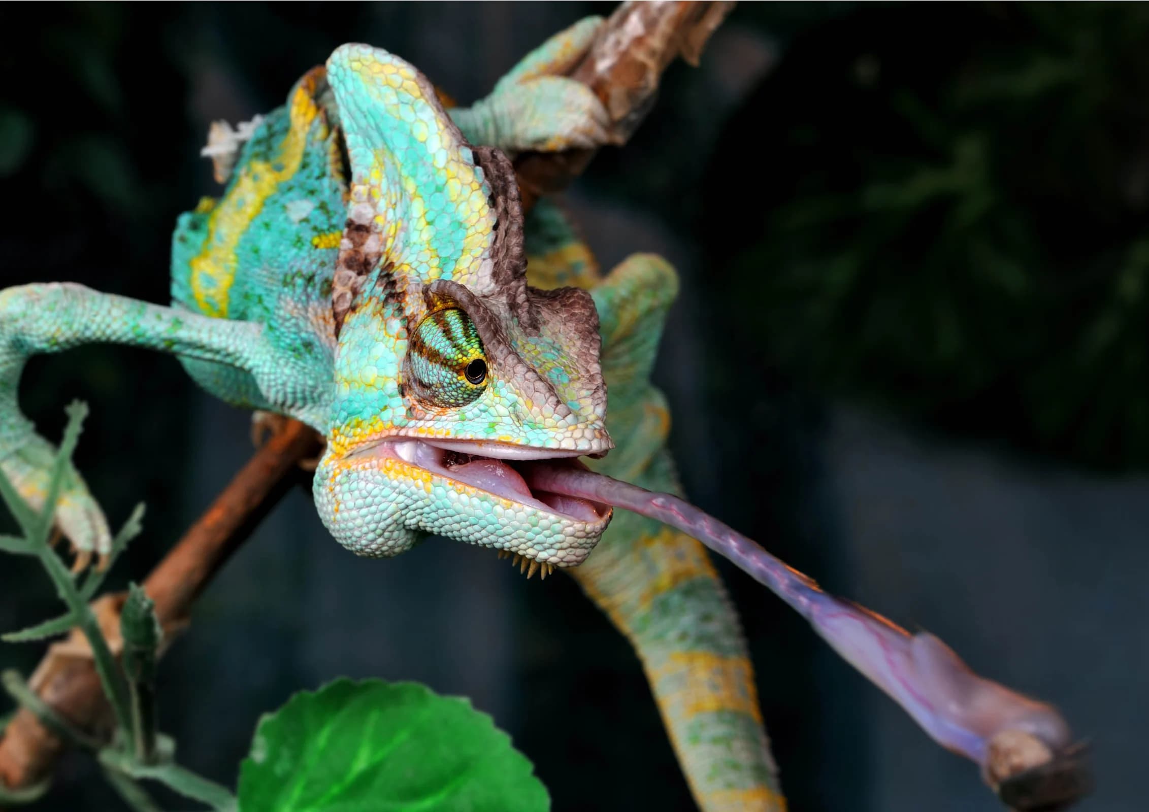 Ingresso e biglietti per ACQUARIO DI CATTOLICA