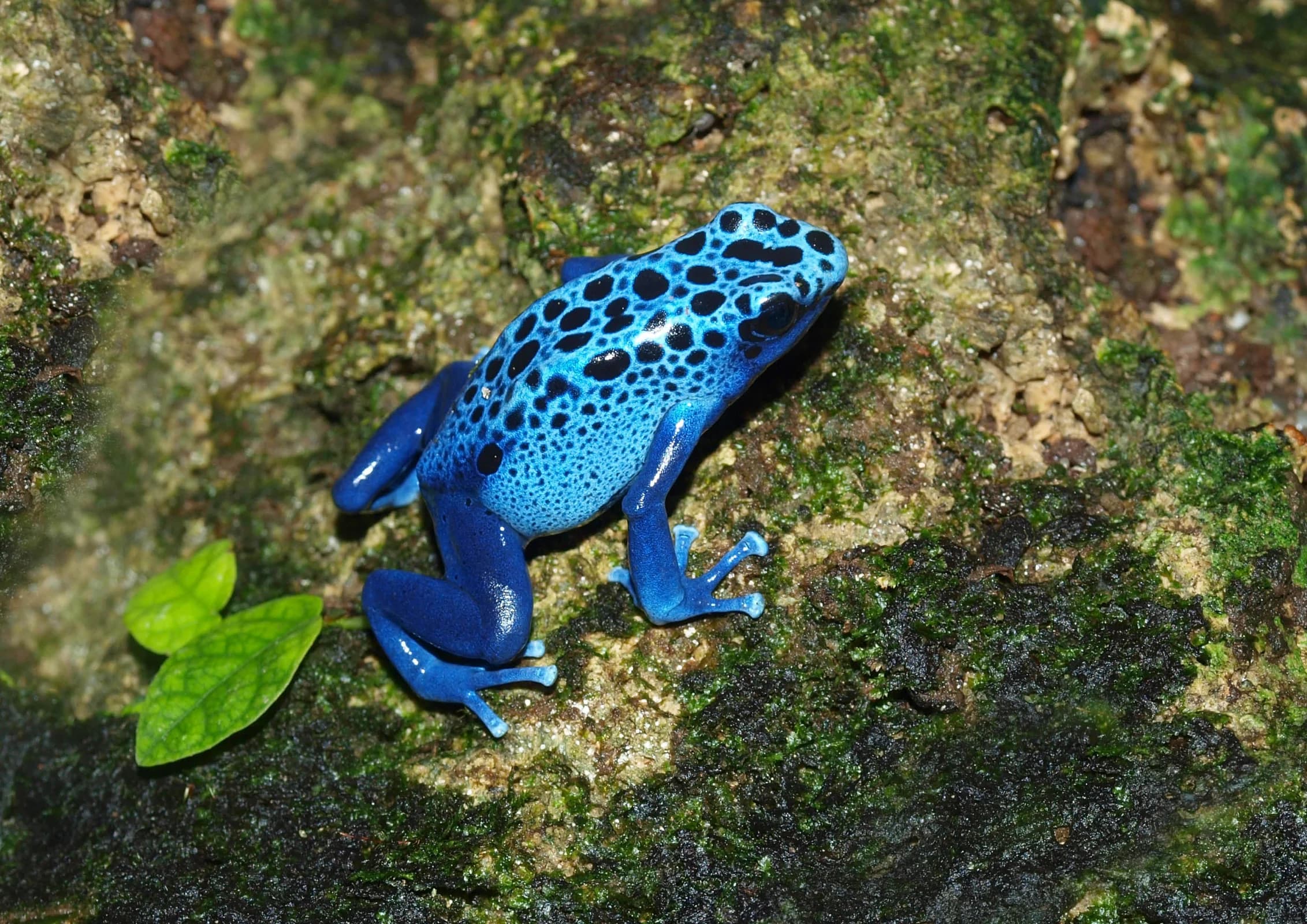 Ingresso e biglietti per ACQUARIO DI CATTOLICA