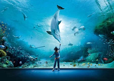 Ingresso e biglietti per Acquario di Genova