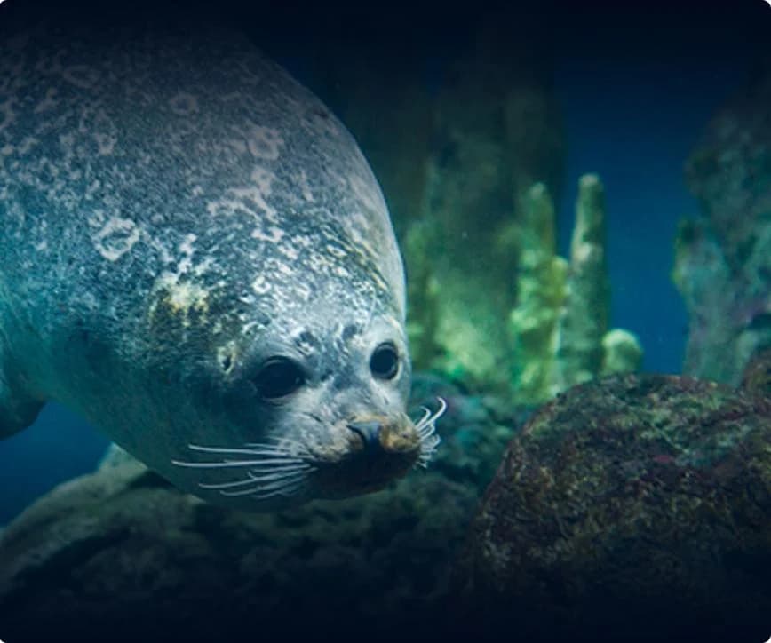 Ingresso e biglietti per Acquario di Genova