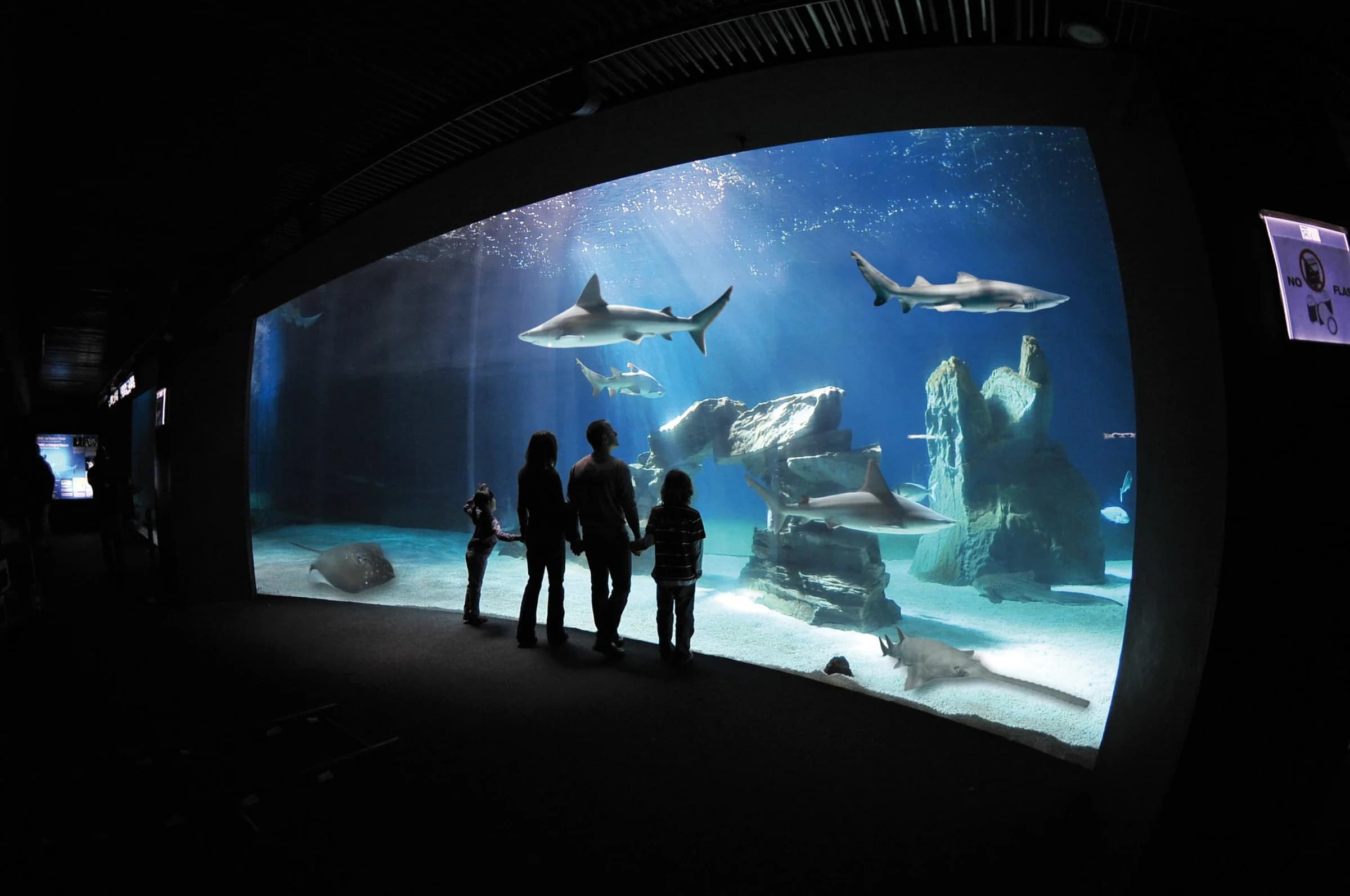 Ingresso e biglietti per Acquario di Genova