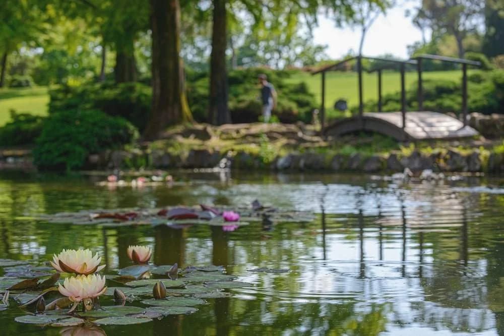 Ingresso e biglietti per Parco Giardino Sigurtà