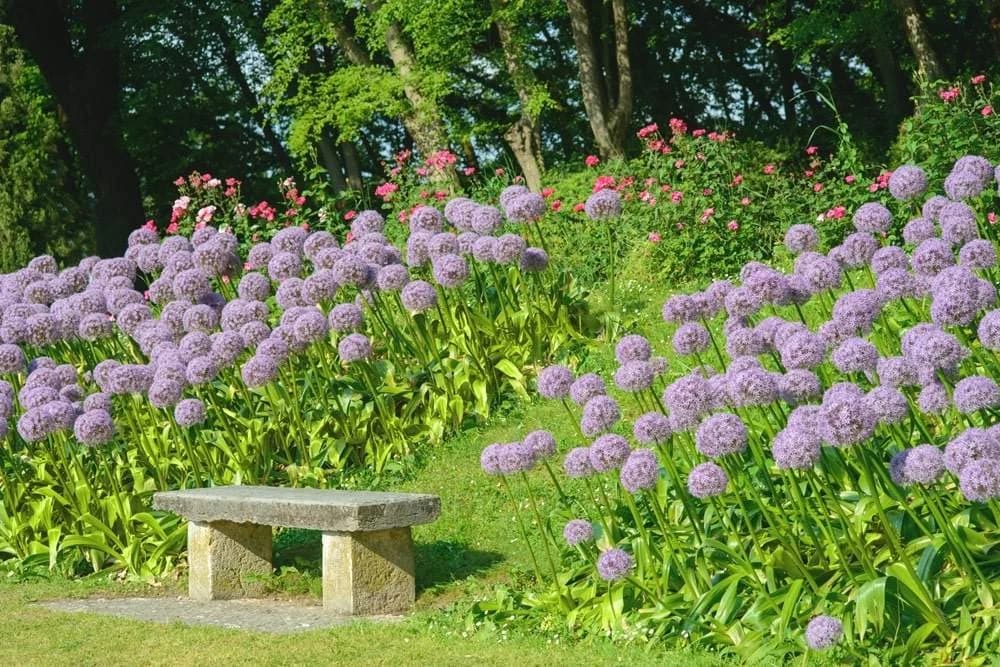 Ingresso e biglietti per Parco Giardino Sigurtà