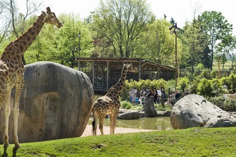 Ingresso e biglietti per Zoom Torino