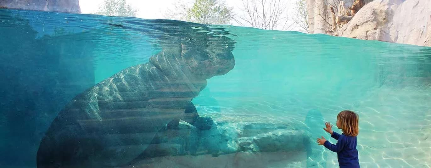 Ingresso e biglietti per Zoom Torino