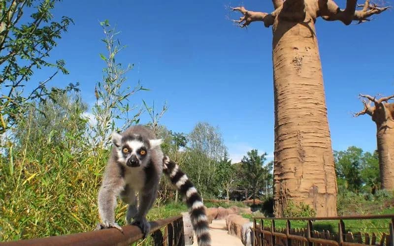 Ingresso e biglietti per Zoom Torino