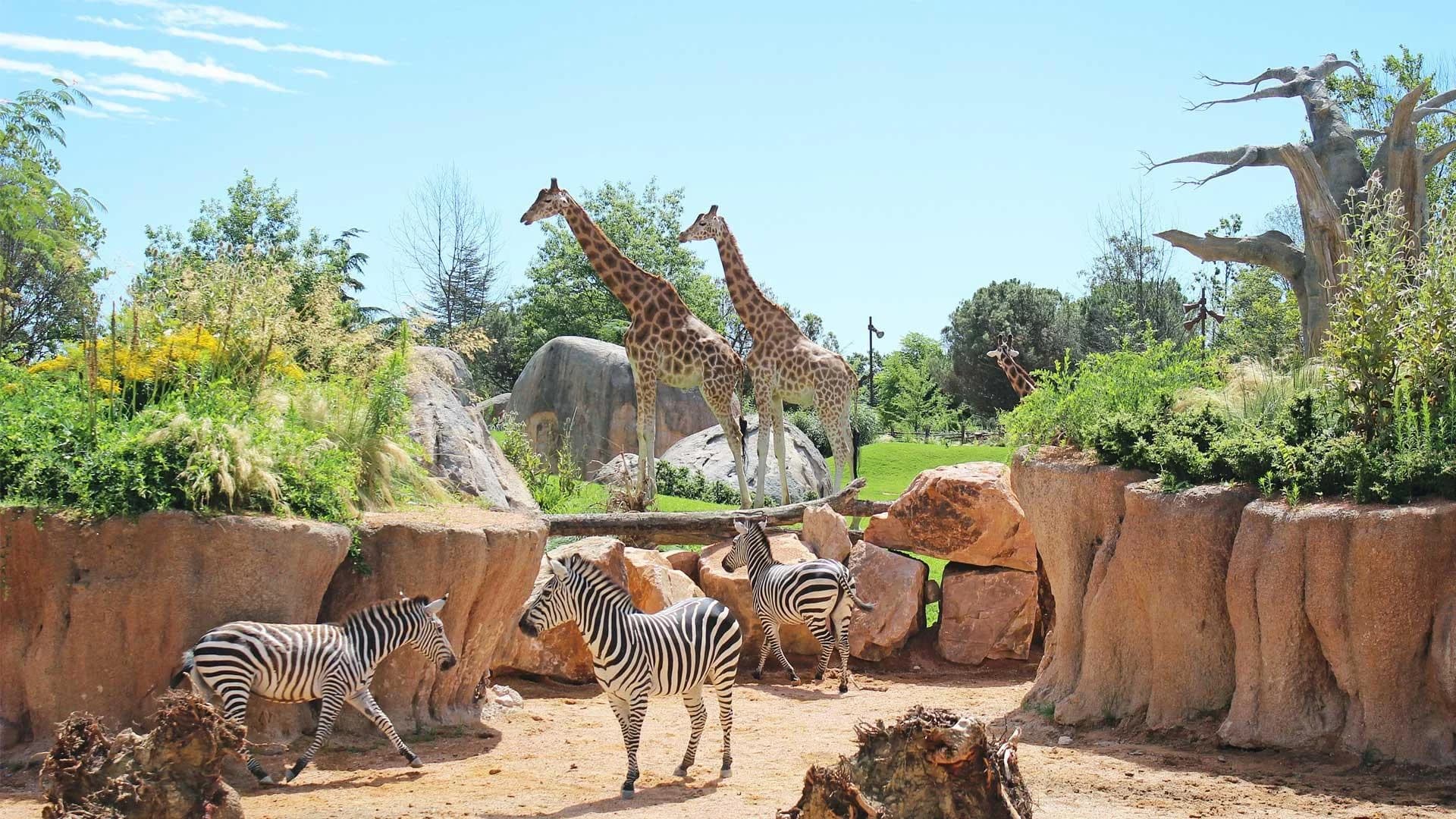 Ingresso e biglietti per Zoom Torino