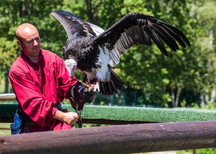 Ingresso e biglietti per Safari Park Pombia