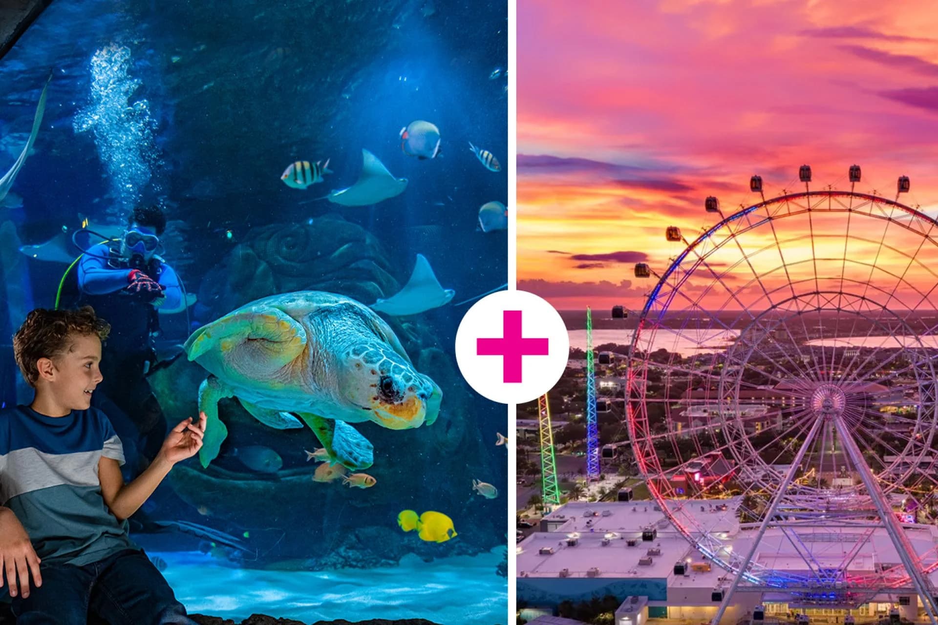 Biglietto combinato per l'Orlando Eye e il SEA LIFE Orlando Aquarium