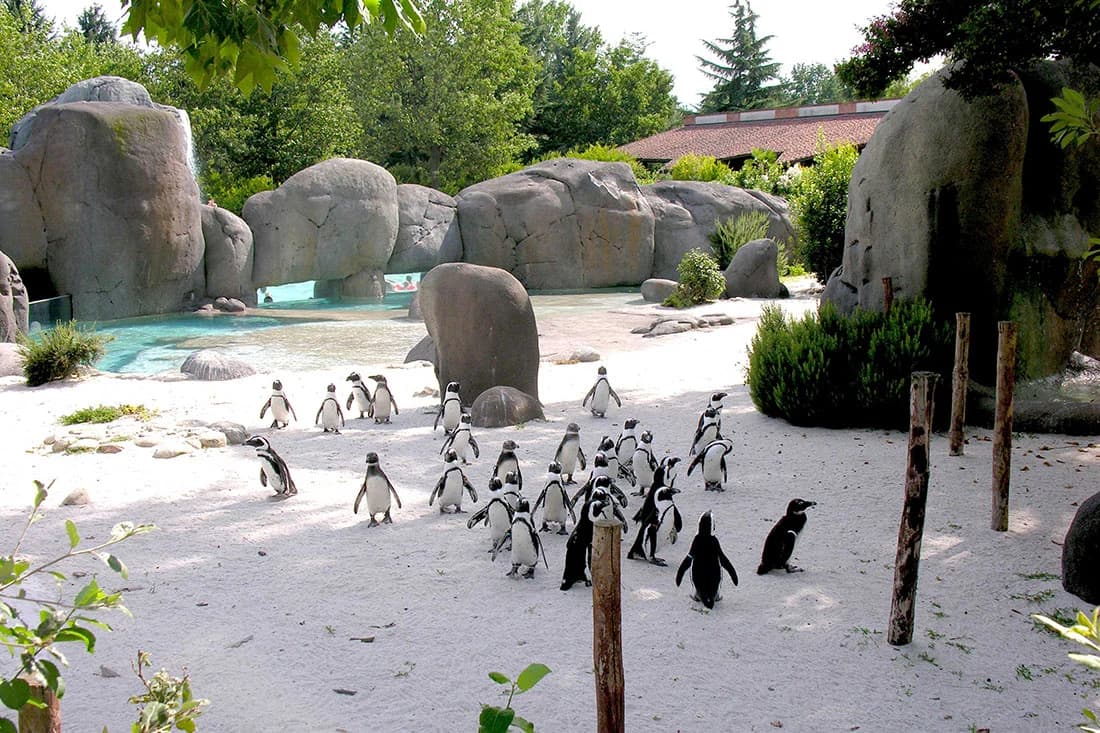 Ingresso e biglietti per BIOPARCO ROMA