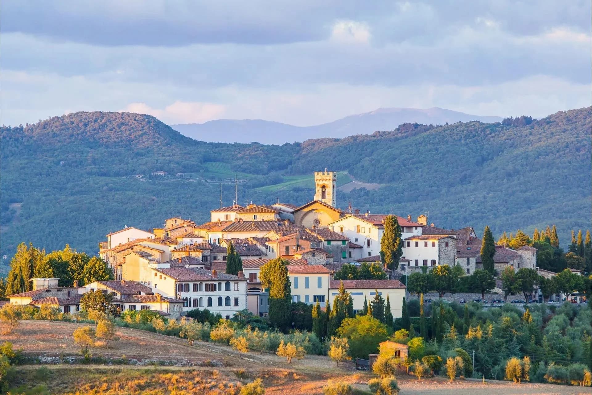 Ingresso e biglietti per Tour Chianti con Degustazione Vini e Visita a 2 Borghi