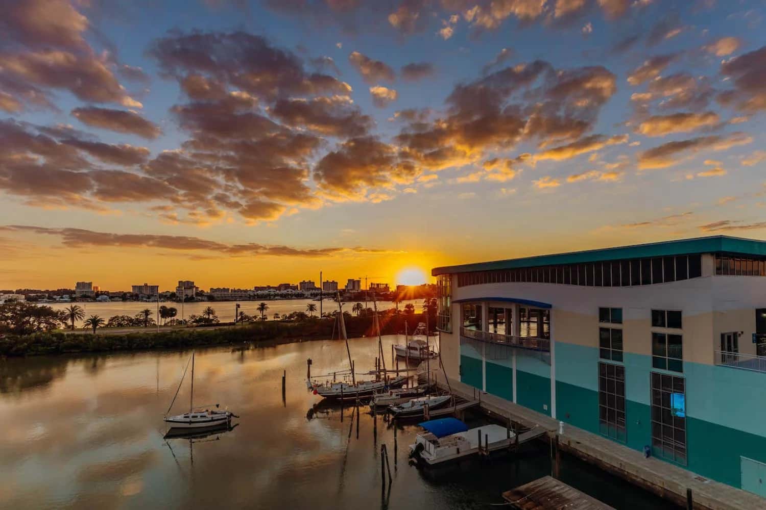 Ingresso e biglietti per Clearwater Marine Aquarium