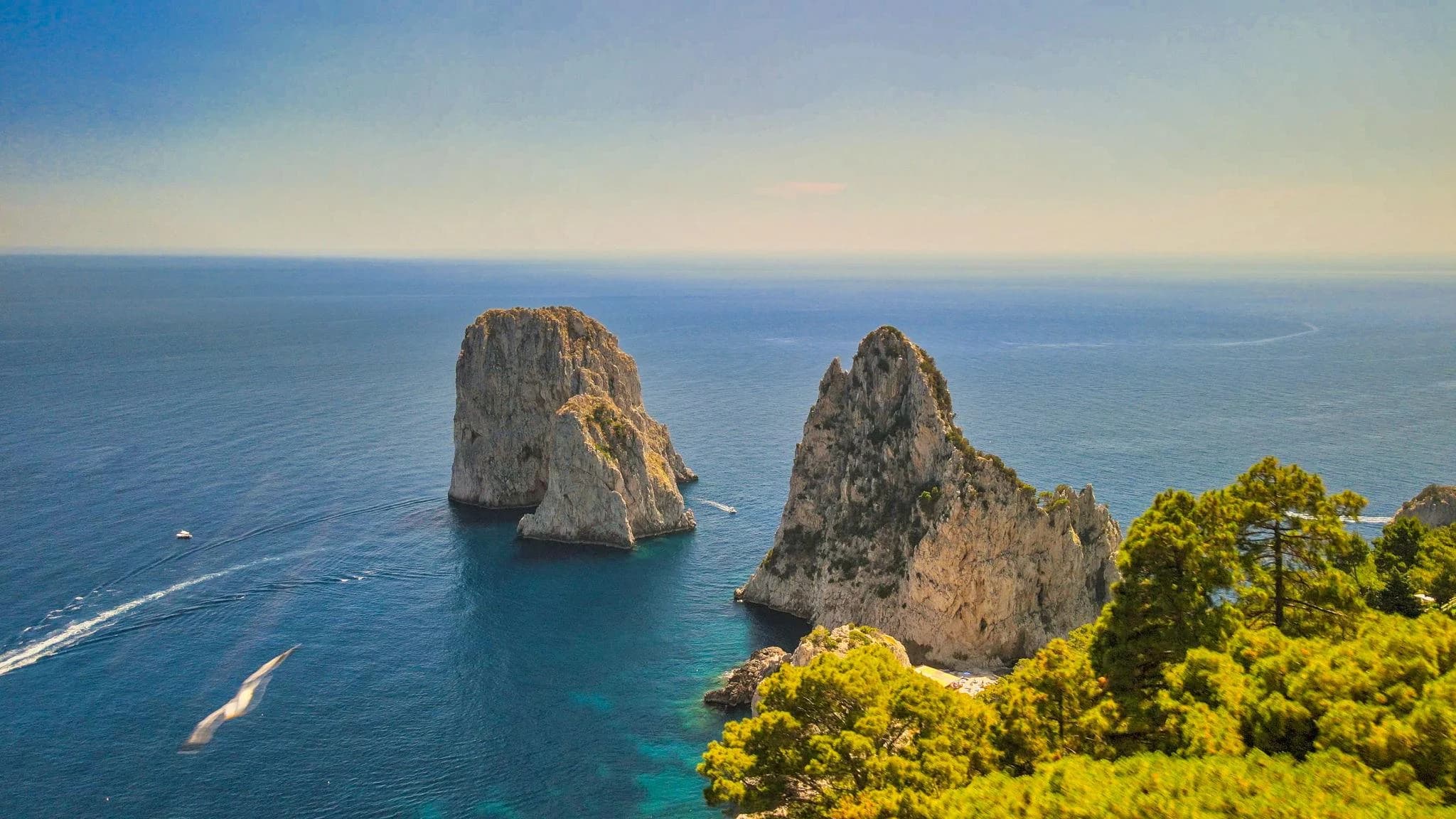 Ingresso e biglietti per Escursione in barca a Sorrento, Capri e Grotta Azzurra