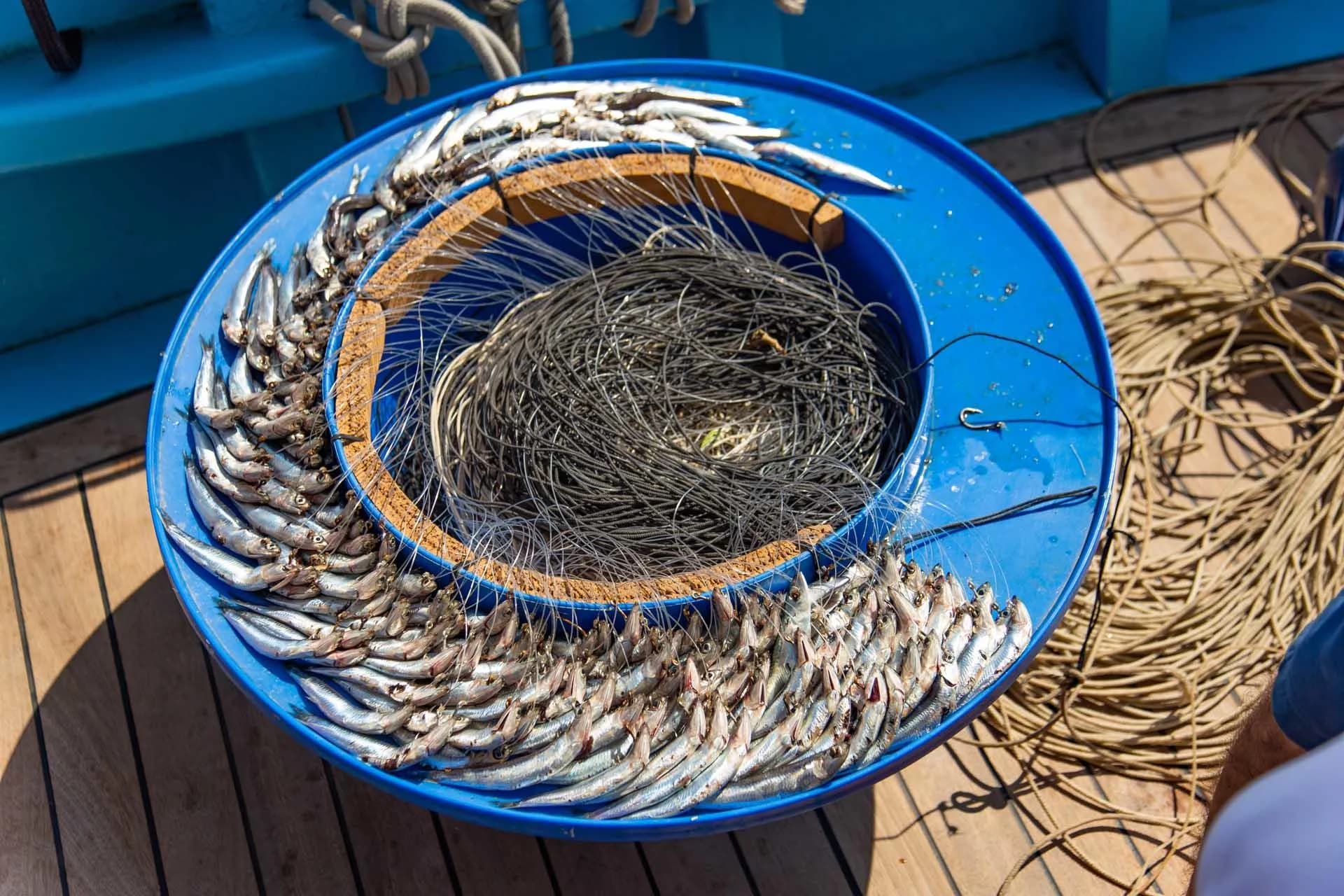 Ingresso e biglietti per Esperienza di pesca a Capri