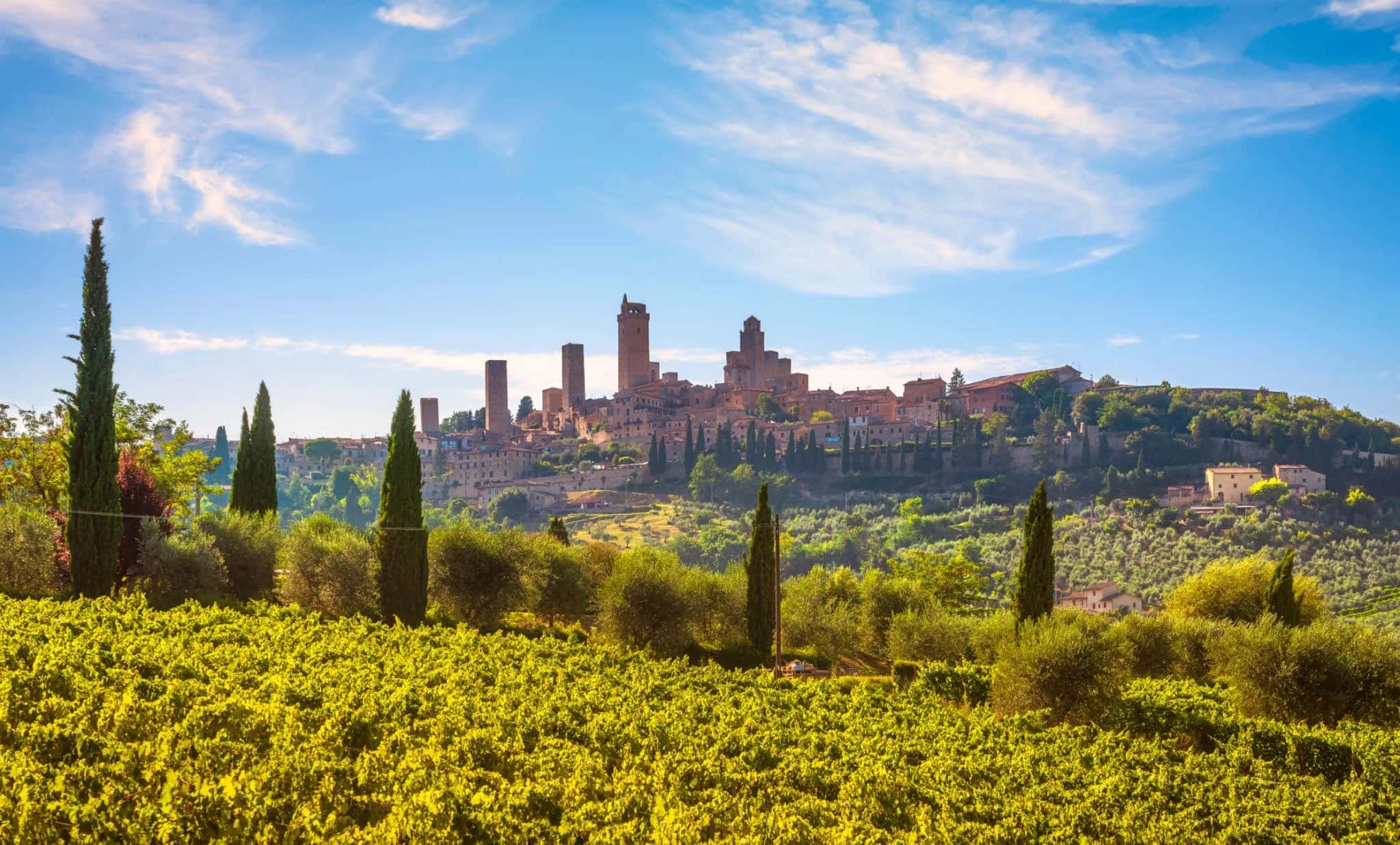 Ingresso e biglietti per Esperienza Toscana: Pisa, Siena, San Gimignano
