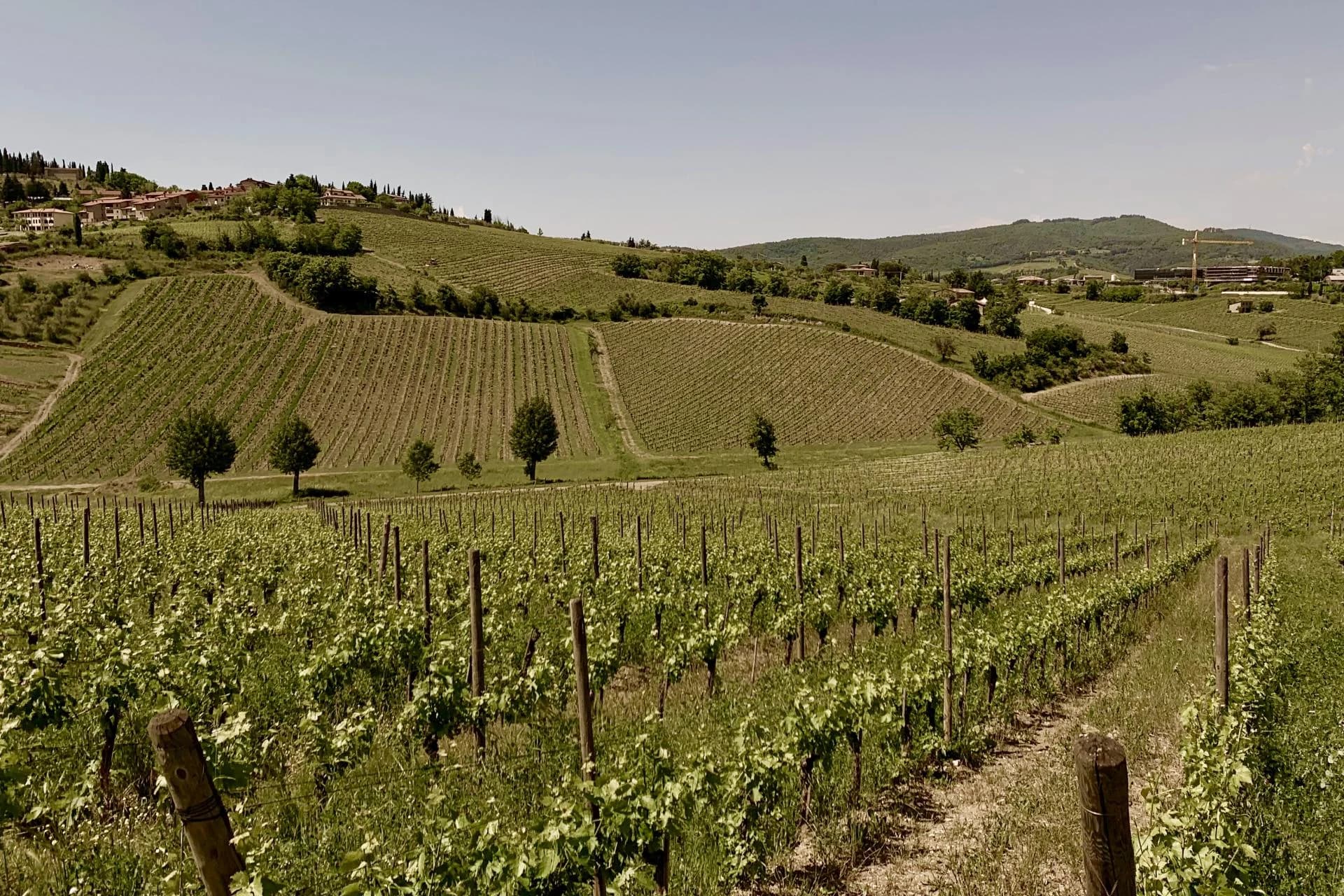 Ingresso e biglietti per Esperienza Toscana: Pisa, Siena, San Gimignano