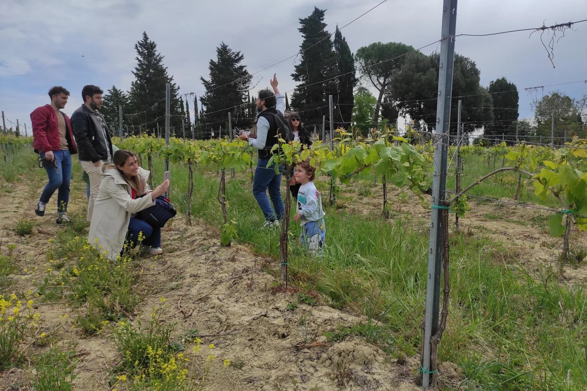 Ingresso e biglietti per Esperienza Toscana: Pisa, Siena, San Gimignano
