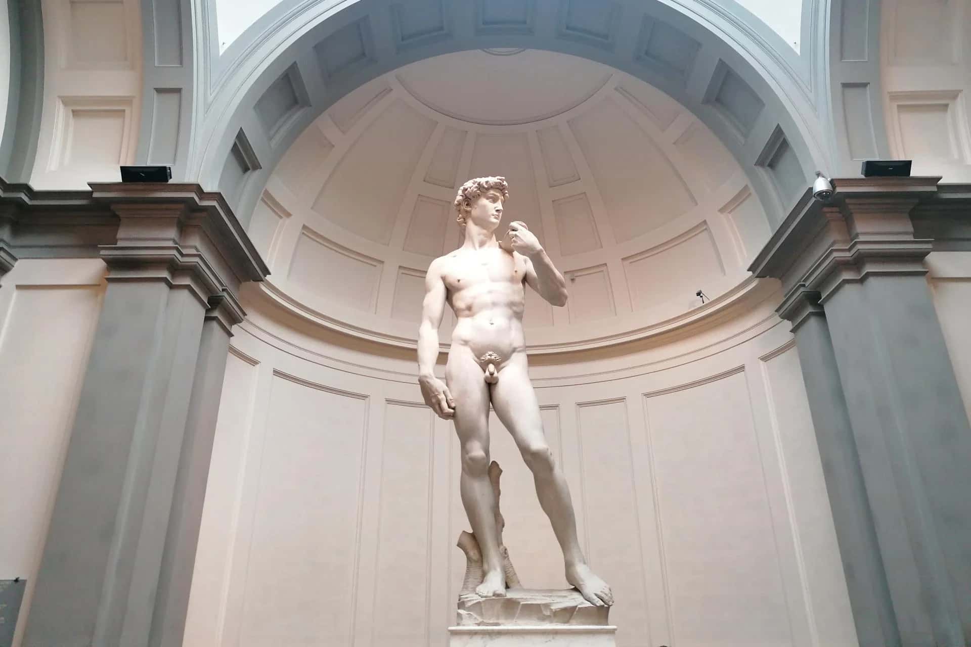 Ingresso e biglietti per Galleria dell'Accademia