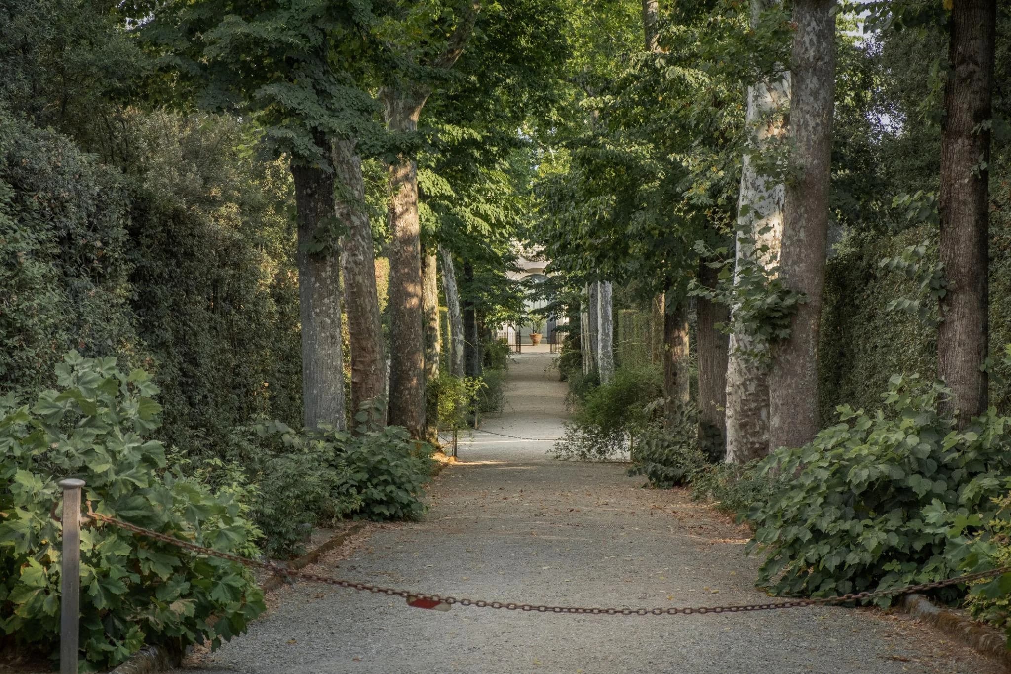 Ingresso e biglietti per Giardino di Boboli