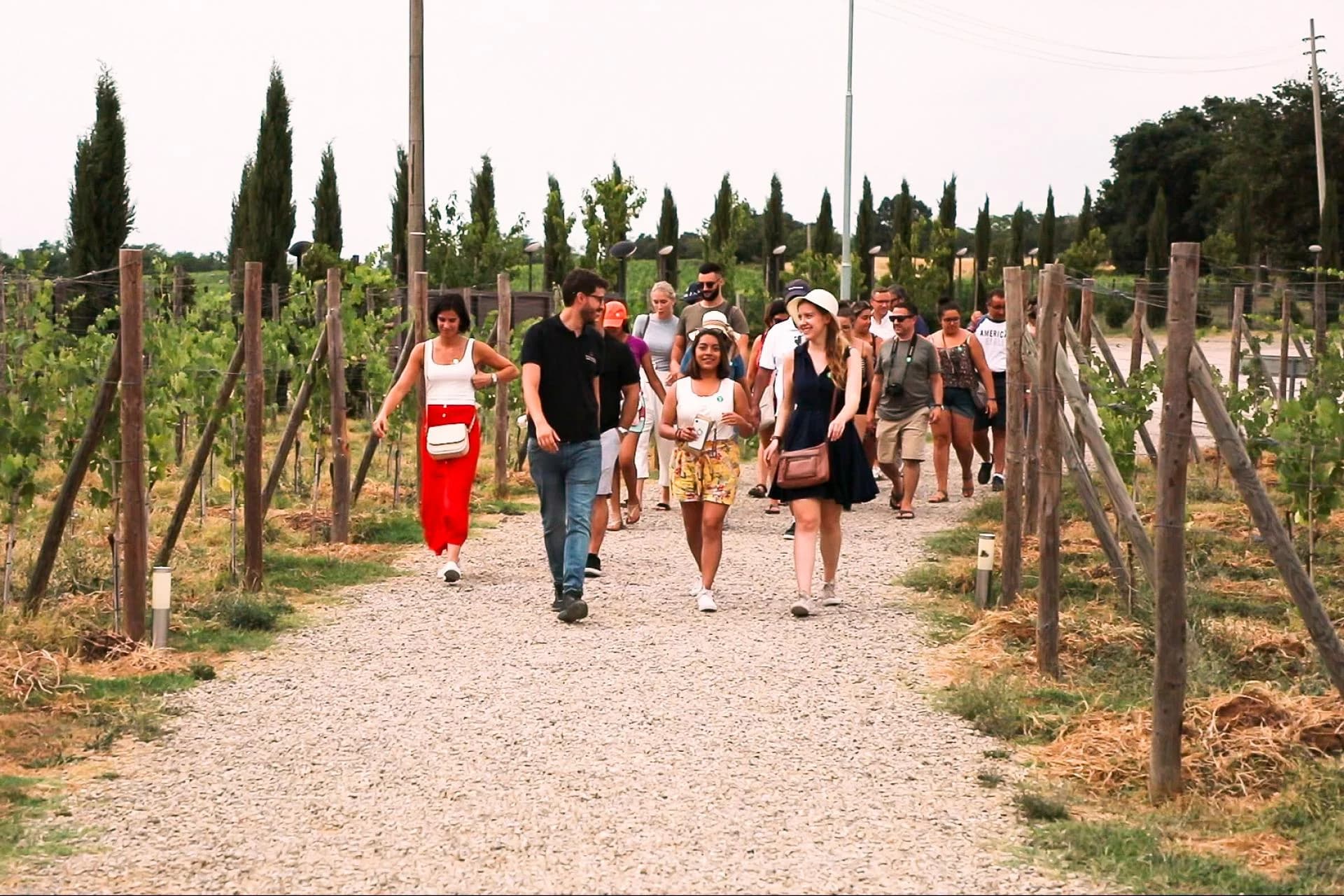 Ingresso e biglietti per Gita di un giorno con pranzo e degustazione di vini