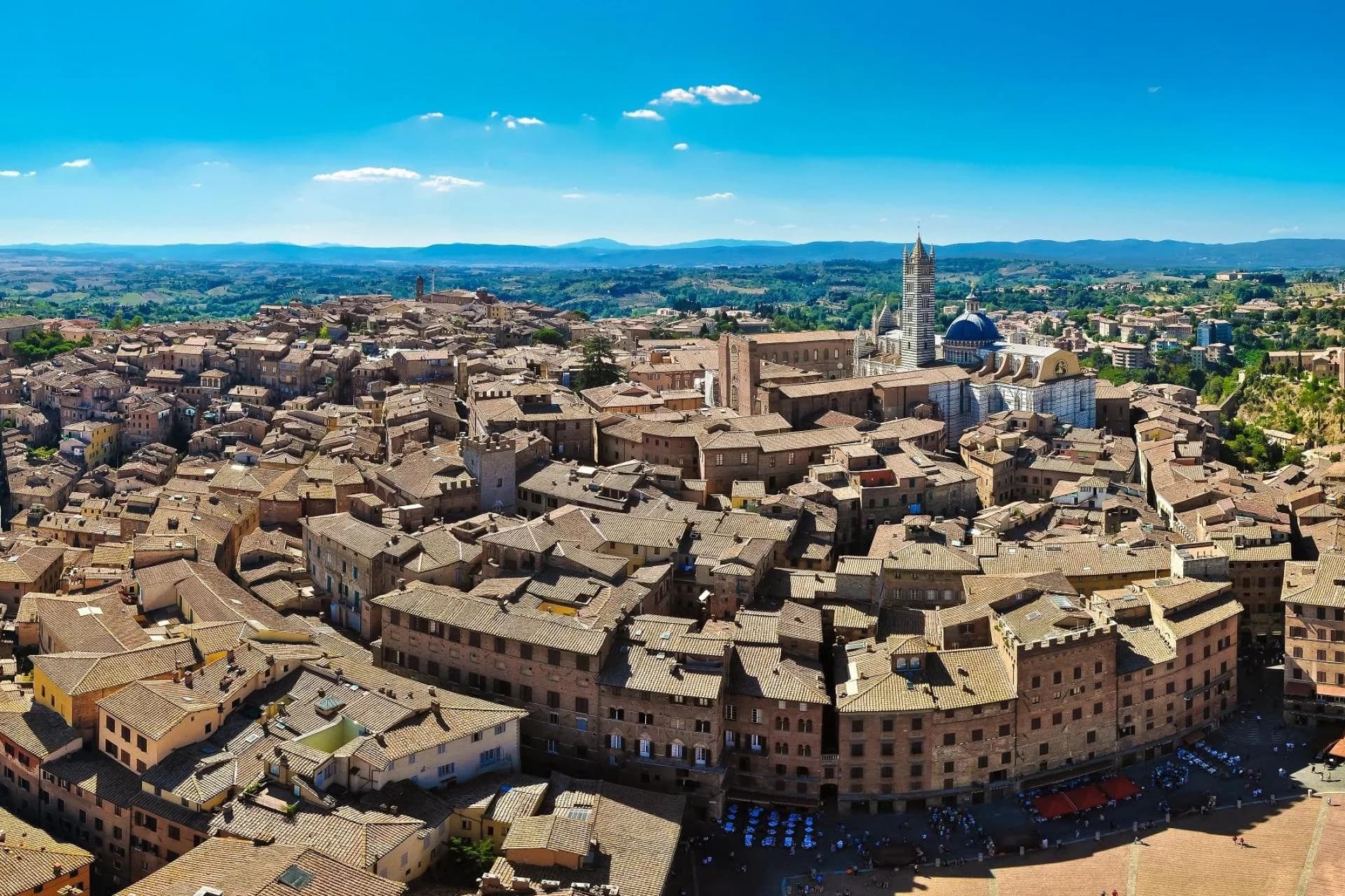 Ingresso e biglietti per Gita di un giorno con pranzo e degustazione di vini