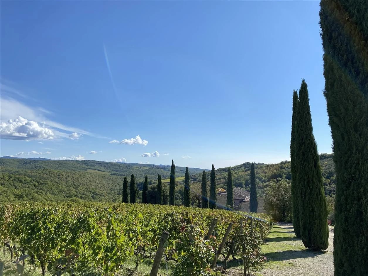 Ingresso e biglietti per Gita di un giorno con pranzo e degustazione di vini
