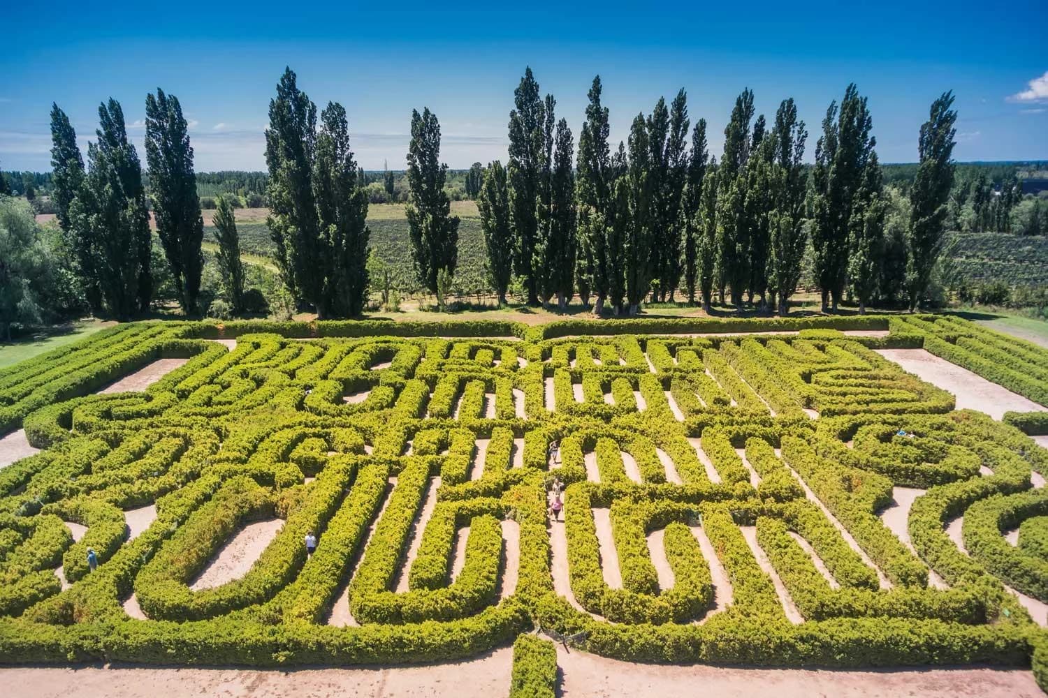 Ingresso e biglietti per Isola di San Giorgio Maggiore: Labirinto di Borges