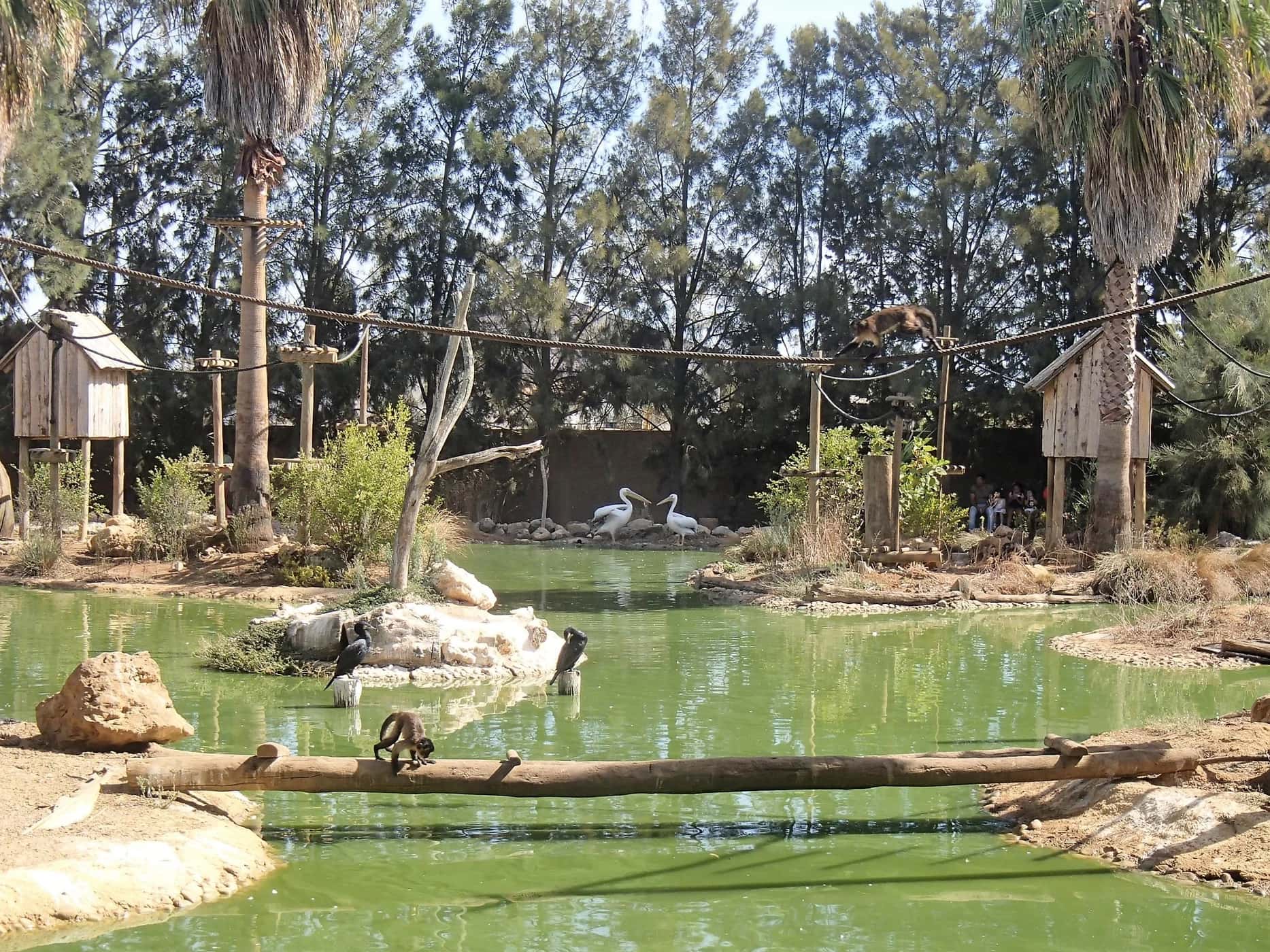 Ingresso e biglietti per Lagos Zoo