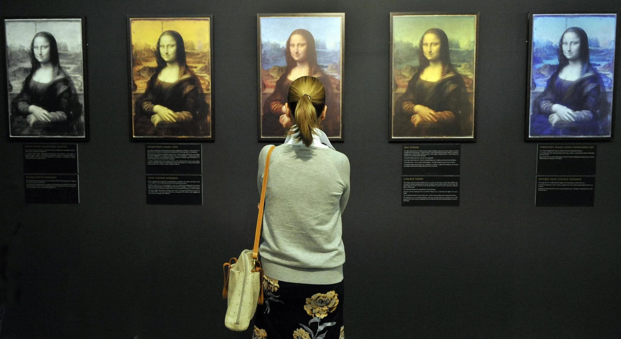 Ingresso e biglietti per Leonardo da Vinci Experience