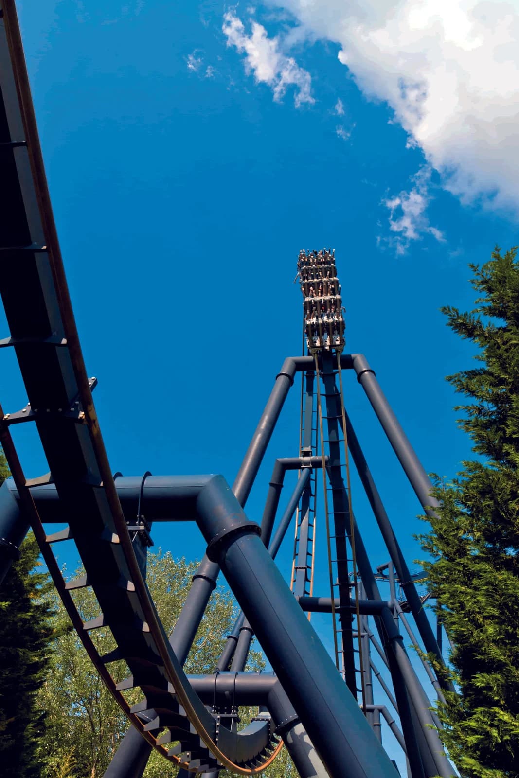 Ingresso e biglietti per Mirabilandia