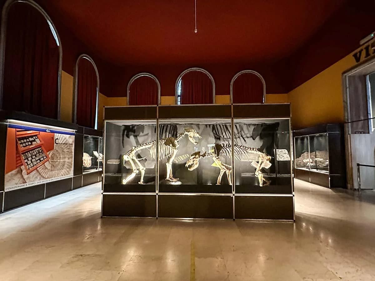 Ingresso e biglietti per Museo di Storia Naturale: Biglietto d'ingresso e audioguida digitale