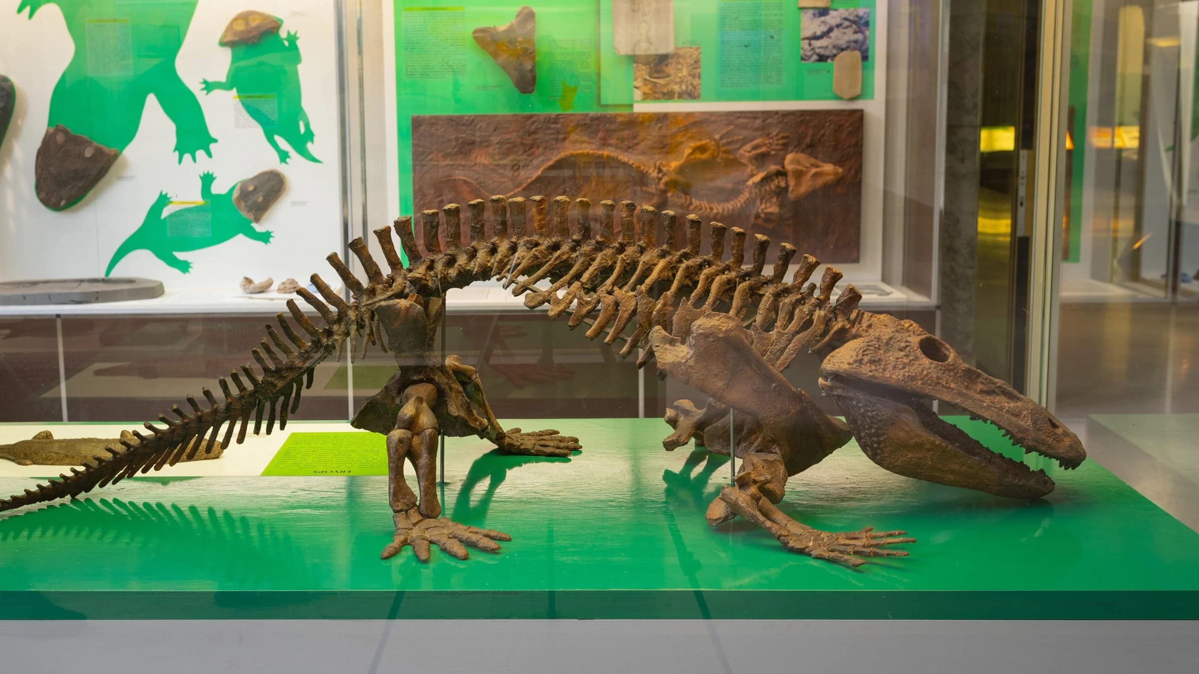Ingresso e biglietti per Museo di Storia Naturale: Biglietto d'ingresso e audioguida digitale