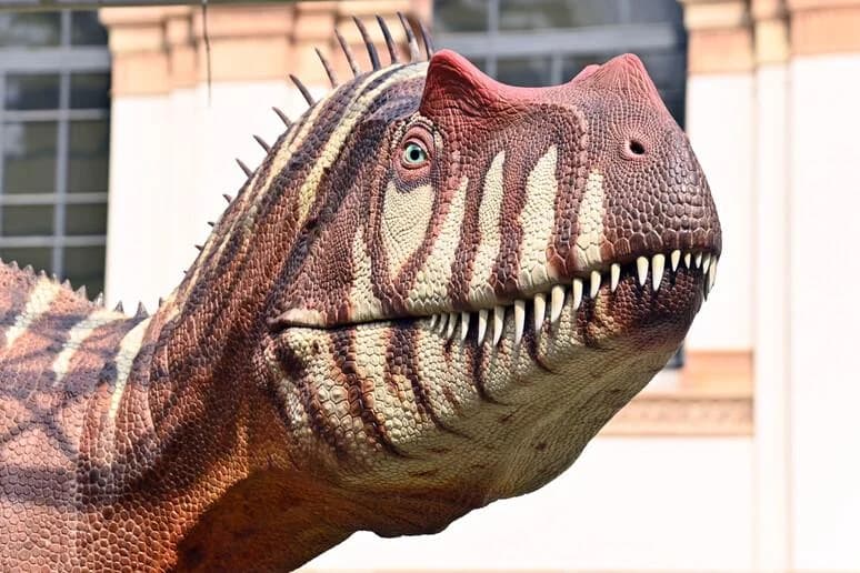Ingresso e biglietti per Museo di Storia Naturale: Biglietto d'ingresso e audioguida digitale