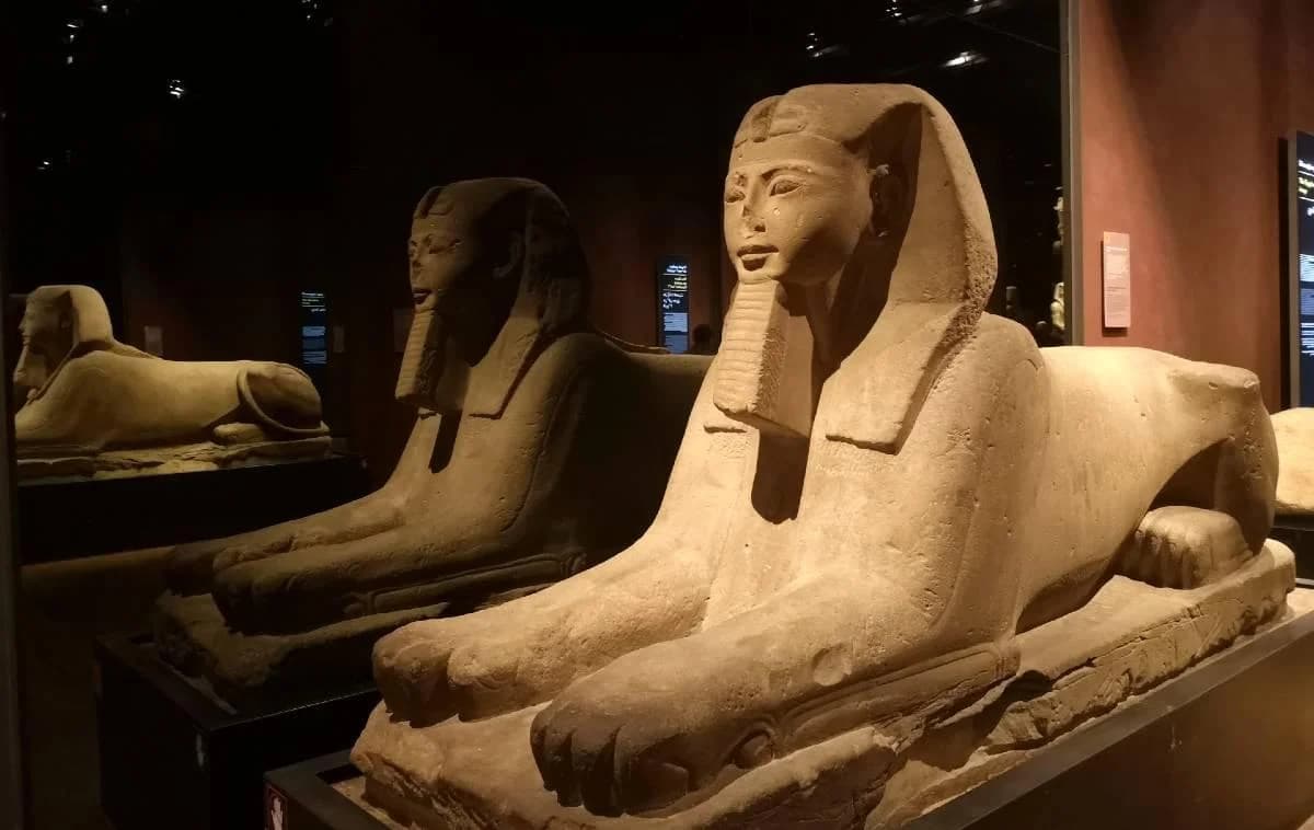 Ingresso e biglietti per Museo Egizio di Torino