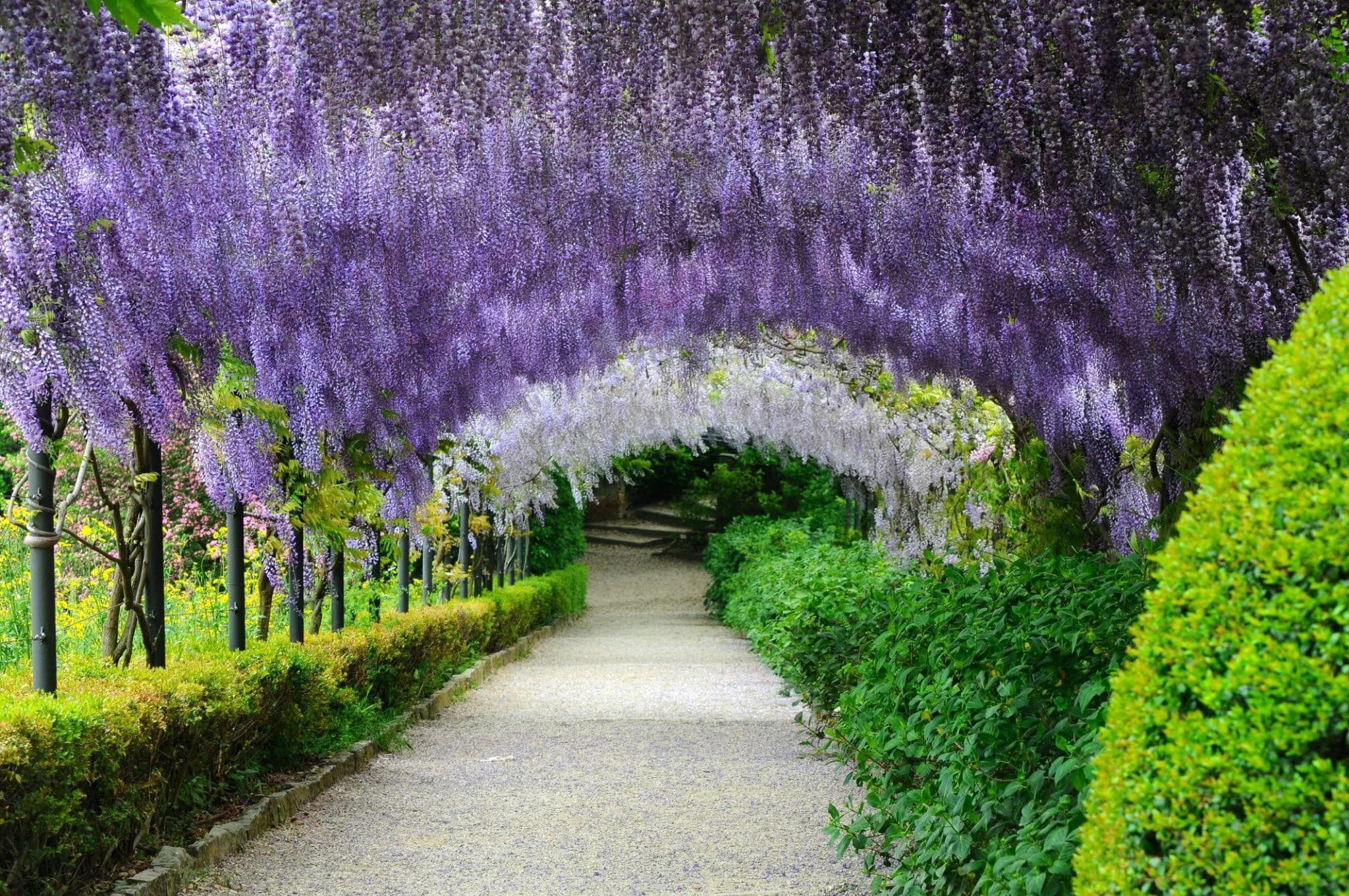 Ingresso e biglietti per Palazzo Pitti e Giardini di Boboli