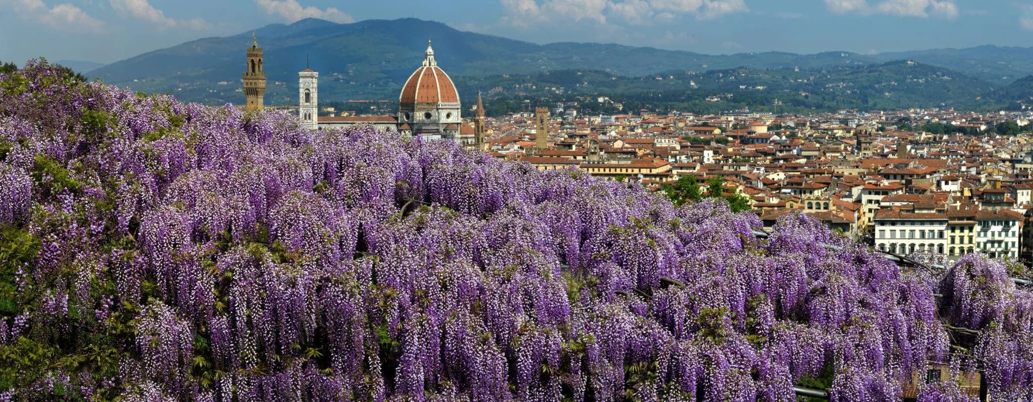 Ingresso e biglietti per Palazzo Pitti e Giardini di Boboli