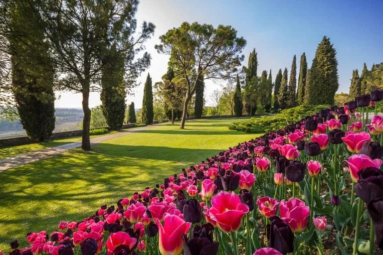 Ingresso e biglietti per Parco Giardino Sigurtà