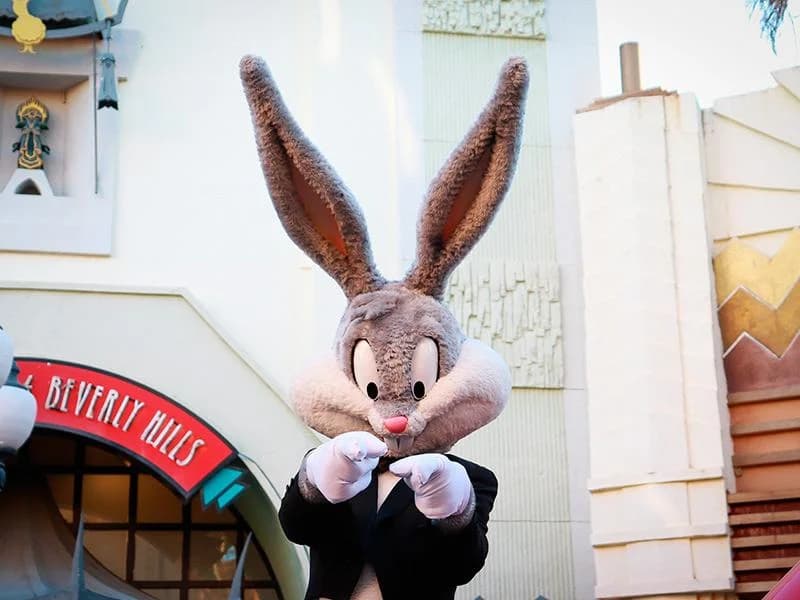 Ingresso e biglietti per Parque Warner