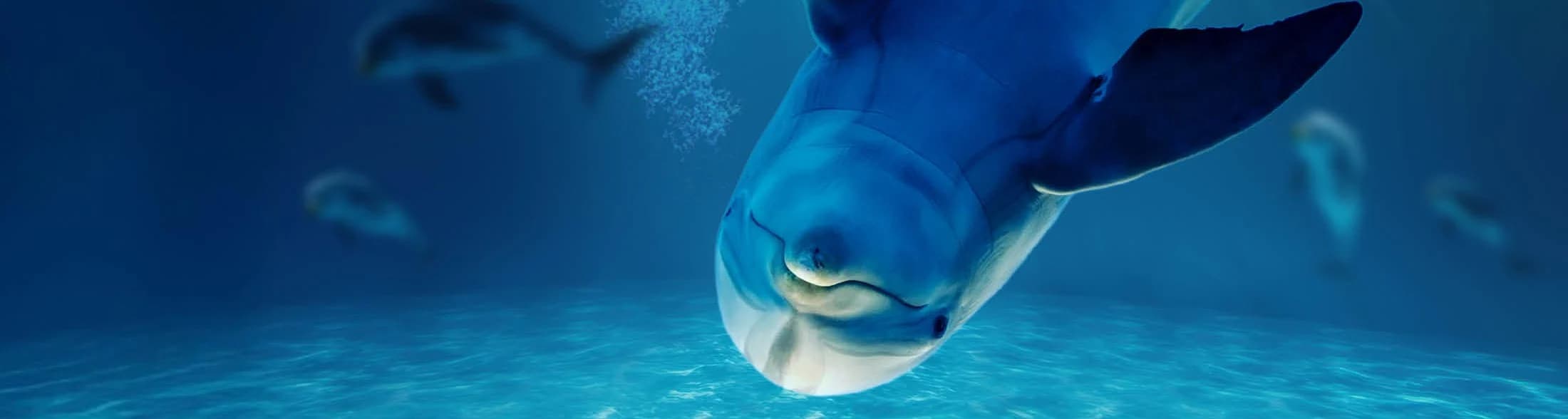 Ingresso e biglietti per OLTREMARE