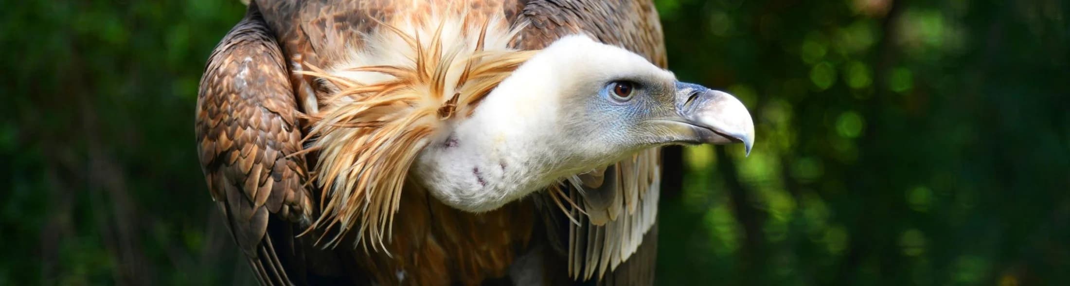 Ingresso e biglietti per OLTREMARE