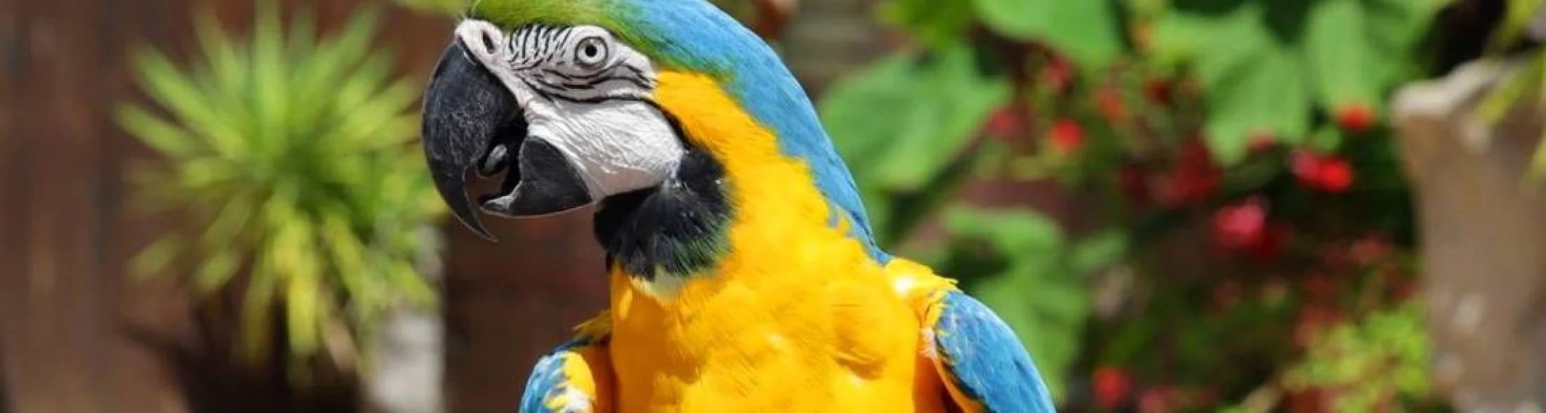 Ingresso e biglietti per OLTREMARE