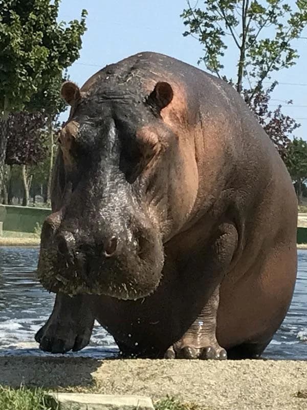Ingresso e biglietti per SAFARI RAVENNA