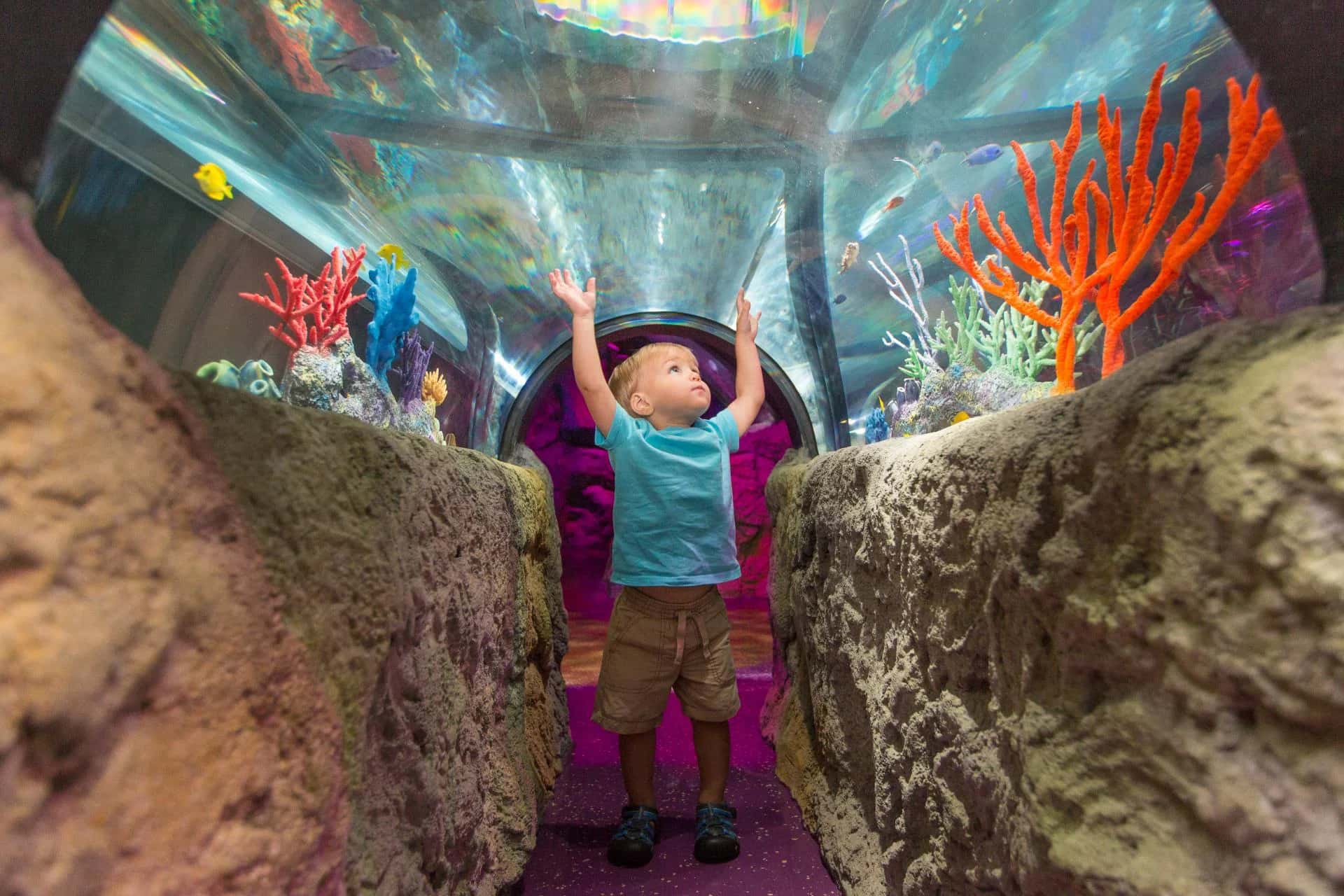 Ingresso e biglietti per SEALIFE Orlando