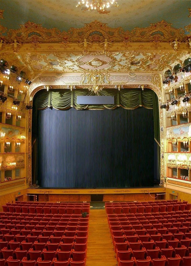 Ingresso e biglietti per Teatro La Fenice: Tour guidato