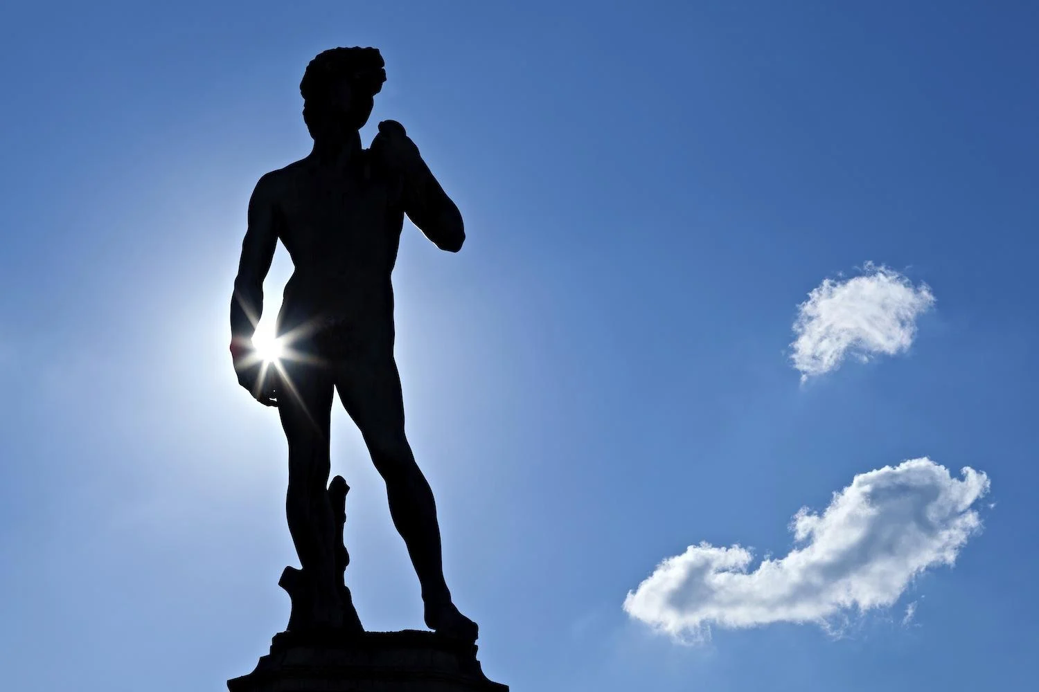 Ingresso e biglietti per Tour della città di Firenze: Visita al Rinascimento e al Medioevo con Accademia e pranzo