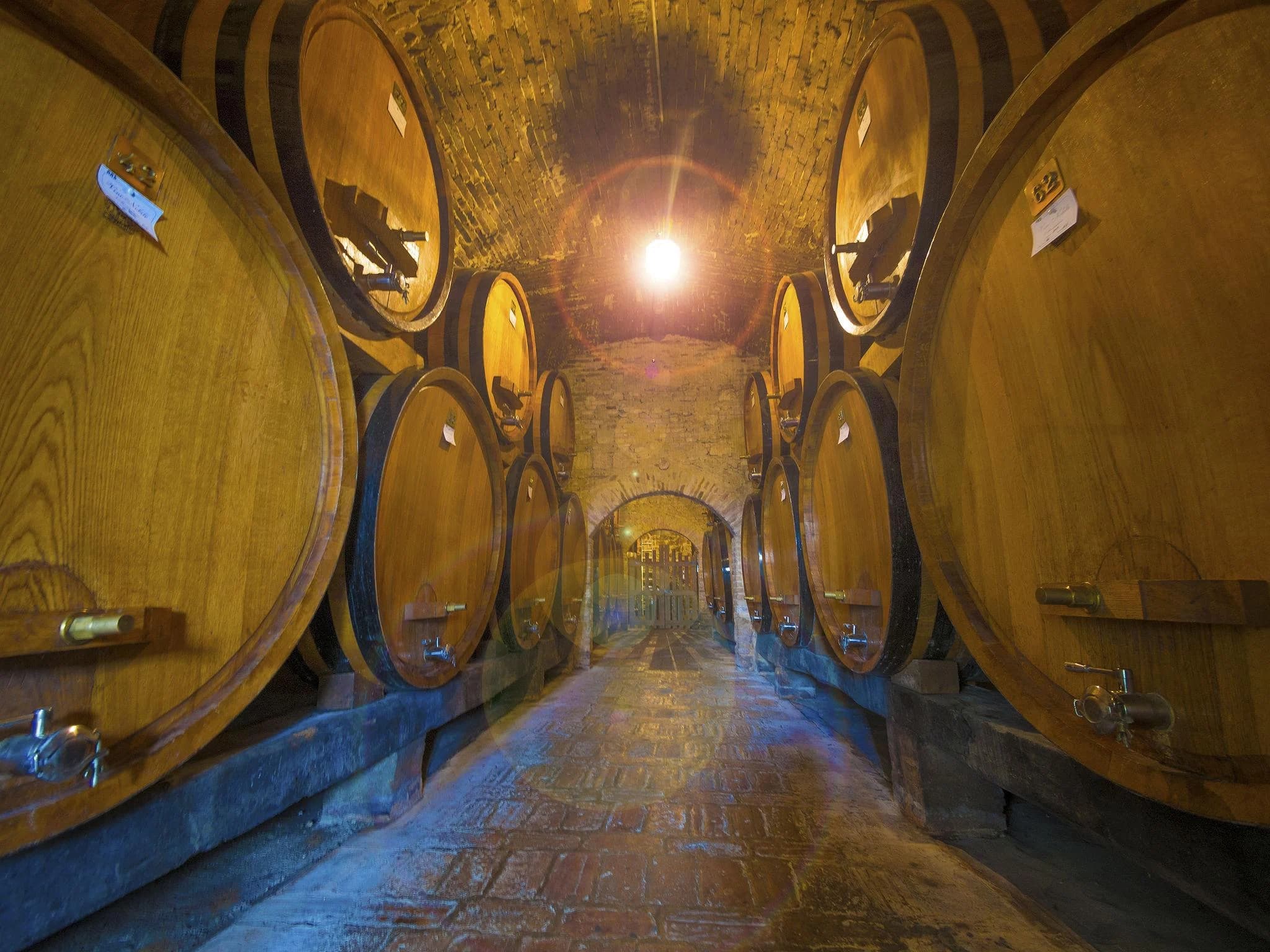 Ingresso e biglietti per Tour di degustazione dell'Amarone da Verona